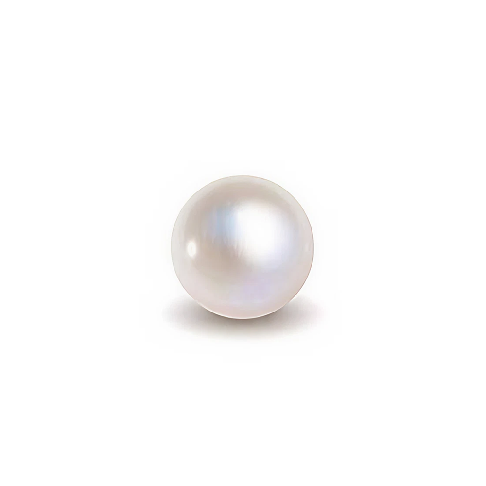 South Sea Pearl