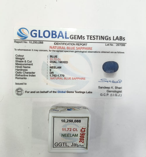 Bangkok Neelam 11.72 Carat