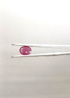 Bangkok Ruby 6.88 Carat