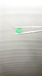 Zambia Panna 3.58 Carat