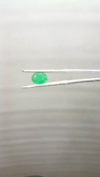 Sapotta Panna 5.62 Carat