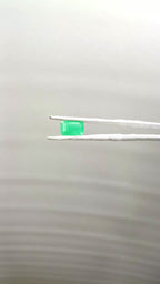 Sapotta Panna 3.72 Carat