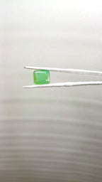 Zambia Panna 8.65 Carat