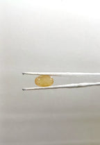Bangkok Pukhraj 7.13 Carat