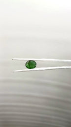 Zambia Panna 3.93 Carat