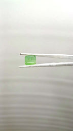 Zambia Panna 7.36 Carat