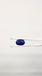 Bangkok Neelam 6.35 Carat
