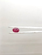 Bangkok Ruby 3.88 Carat
