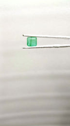 Zambia Panna 3.92 Carat