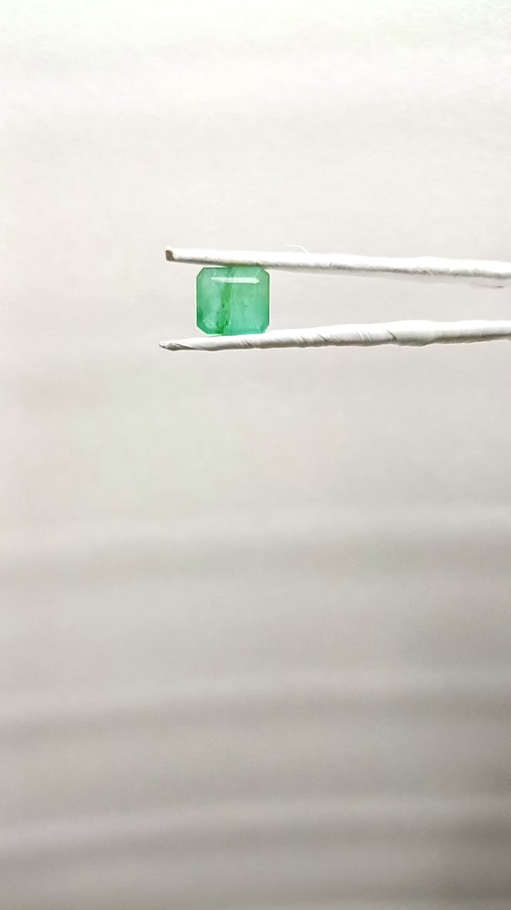 Zambia Panna 3.92 Carat